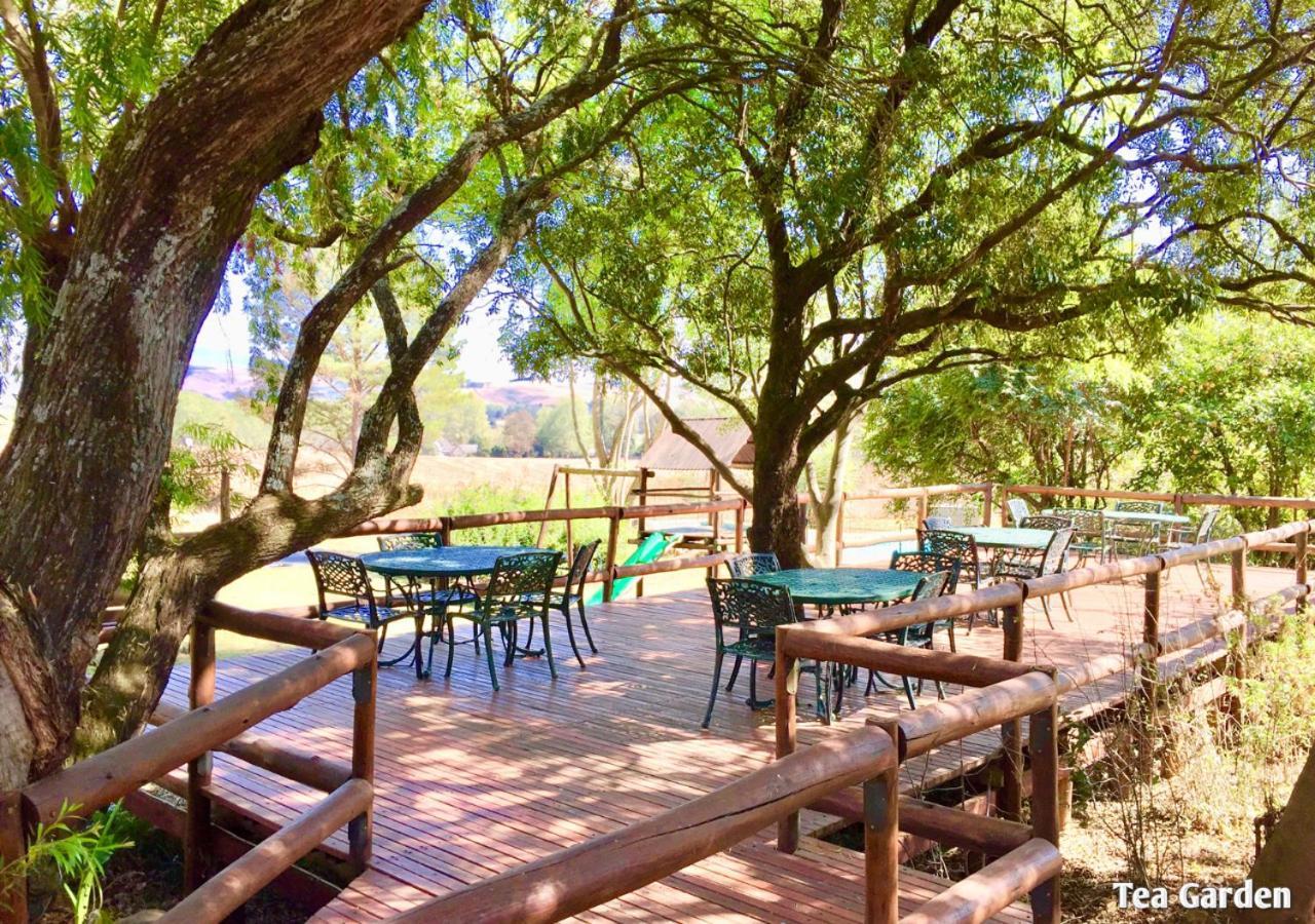 Ardmore Guest Farm Champagne Valley المظهر الخارجي الصورة