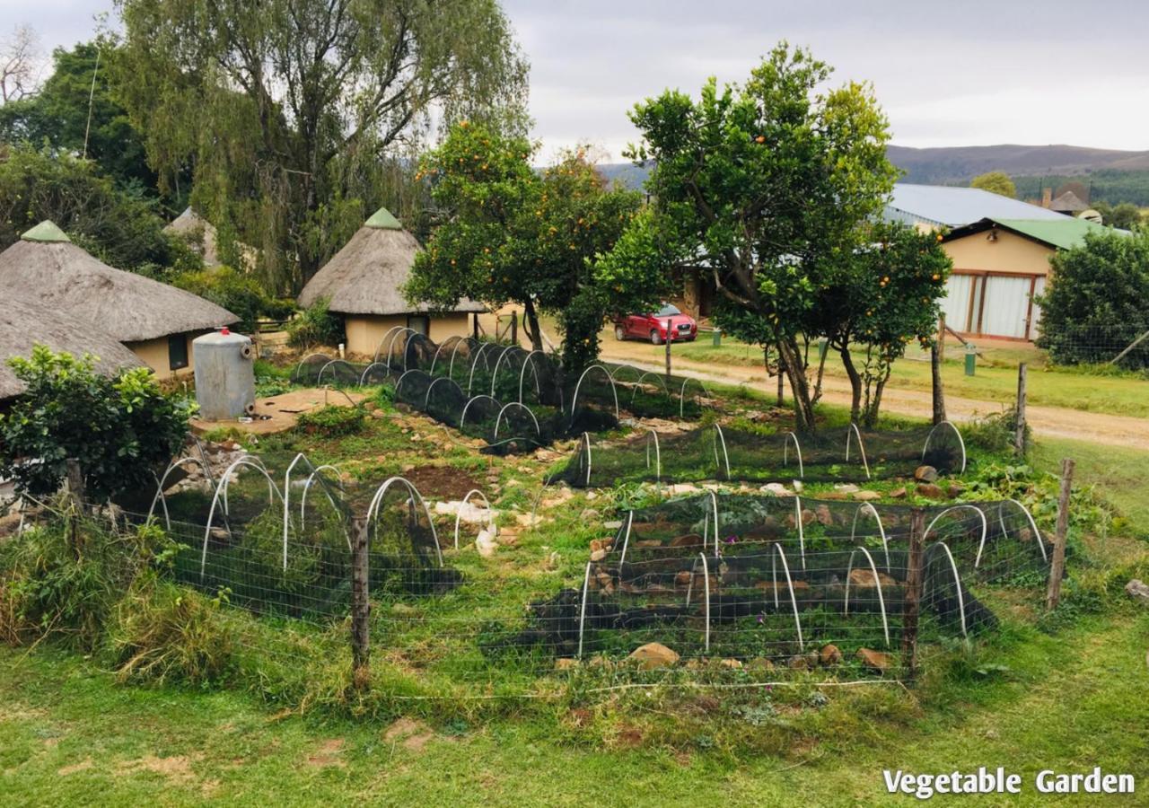 Ardmore Guest Farm Champagne Valley المظهر الخارجي الصورة